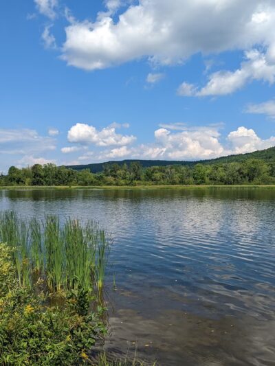 Herricks Cove - Bellows Falls, VT