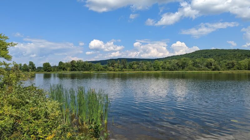 Herricks Cove - Bellows Falls, VT