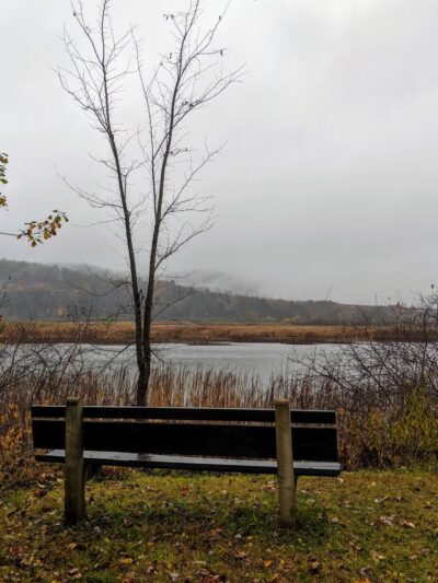 Herricks Cove - Bellows Falls, VT