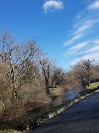 Beaver Brook Wildlife Management Area - Belvidere, NJ