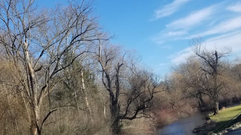 Beaver Brook Wildlife Management Area - Belvidere, NJ