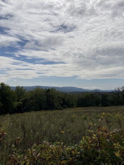 Beaver Brook Wildlife Management Area - Belvidere, NJ