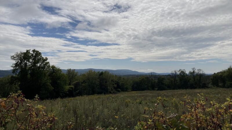 Beaver Brook Wildlife Management Area - Belvidere, NJ