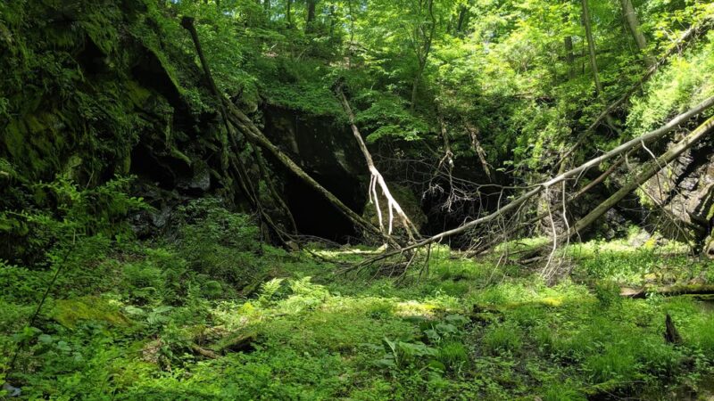 Beaver Brook Wildlife Management Area - Belvidere, NJ