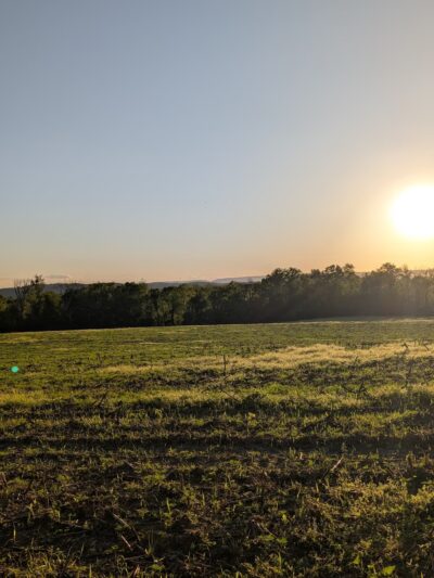 Beaver Brook Wildlife Management Area - Belvidere, NJ