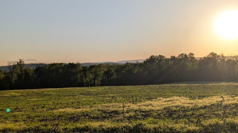 Beaver Brook Wildlife Management Area - Belvidere, NJ