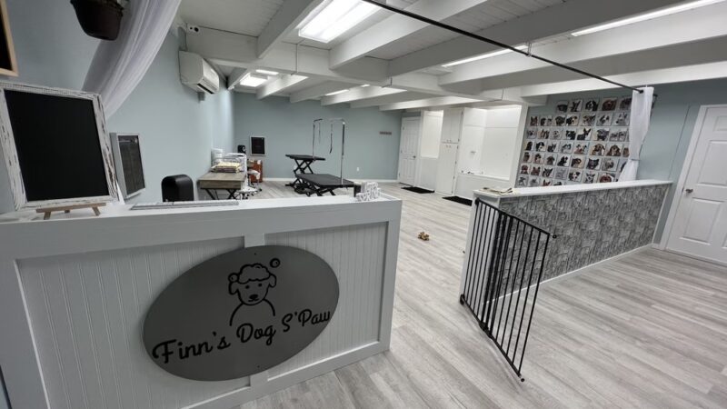 Finn's Dog S'Paw - Belvidere, NJ