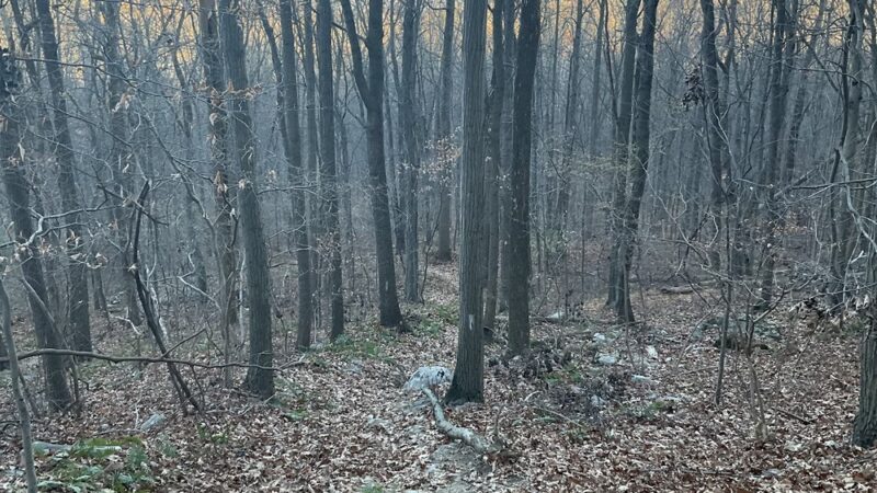 High Rock Mountain Trailhead - Belvidere, NJ