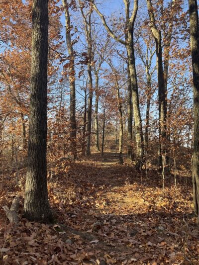 High Rock Mountain Trailhead - Belvidere, NJ