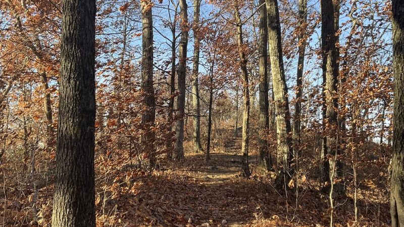 High Rock Mountain Trailhead - Belvidere, NJ