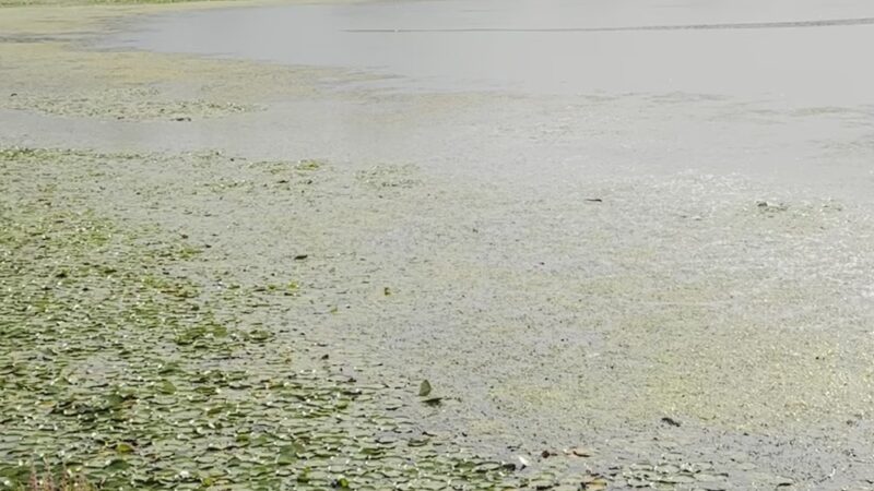 Liberty Township Beach at Mountain Lake - Belvidere, NJ