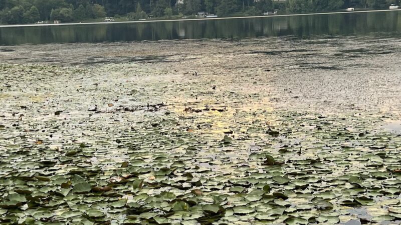 Liberty Township Beach at Mountain Lake - Belvidere, NJ