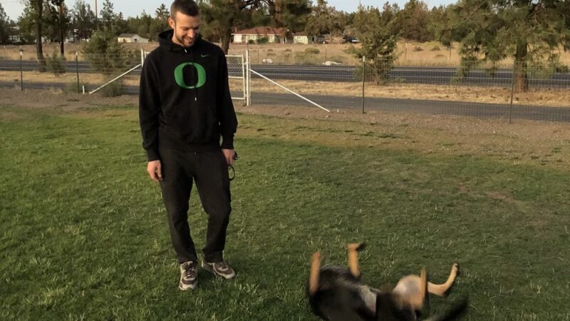 Bend Dog Park Trips - ,