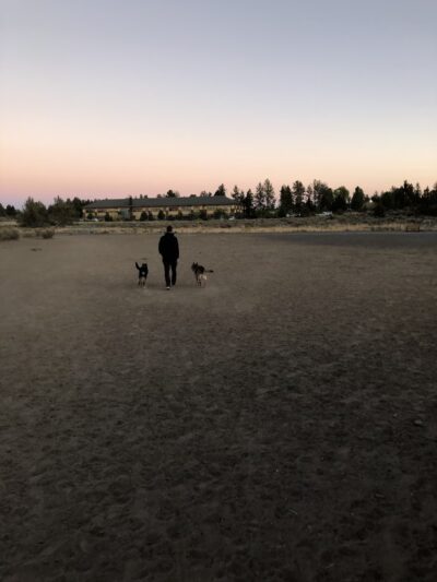 Bend Dog Park Trips - ,