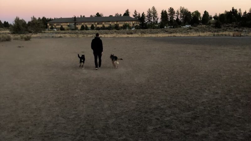 Bend Dog Park Trips - ,
