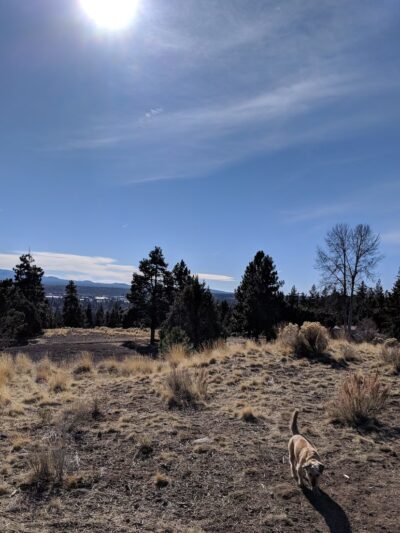 Awbrey Reservoir Off-Leash Area - Bend, OR