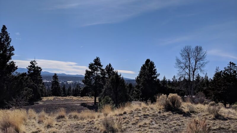 Awbrey Reservoir Off-Leash Area - Bend, OR