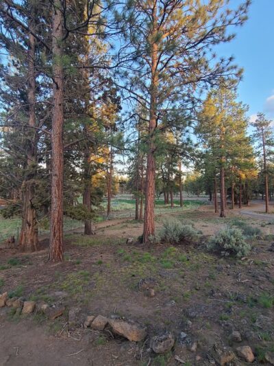 Dog park - Bend, OR