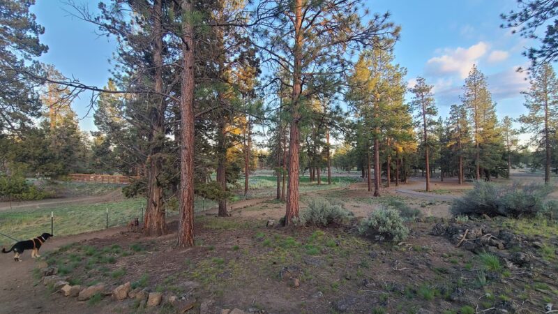 Dog park - Bend, OR