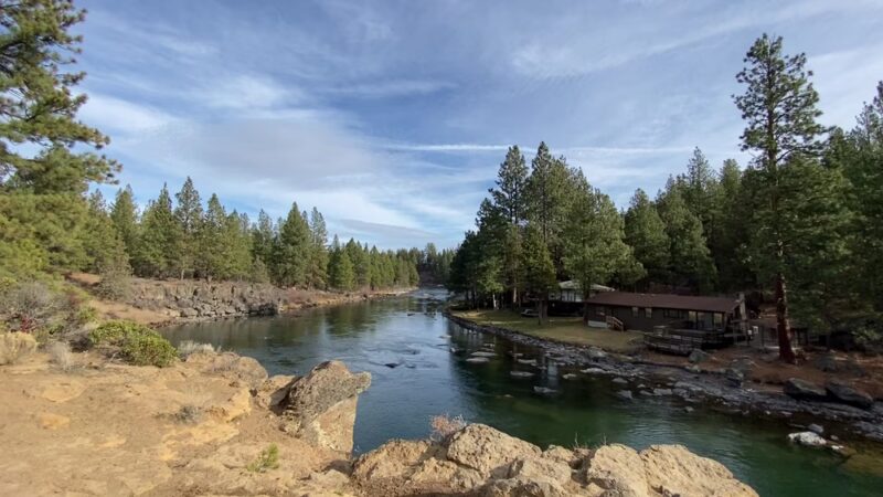 GoodDog! - Bend, OR