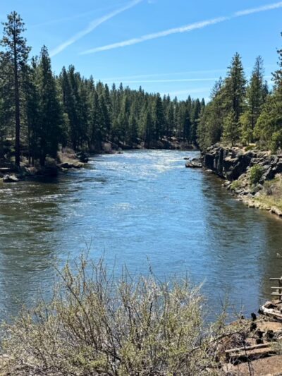 GoodDog! - Bend, OR