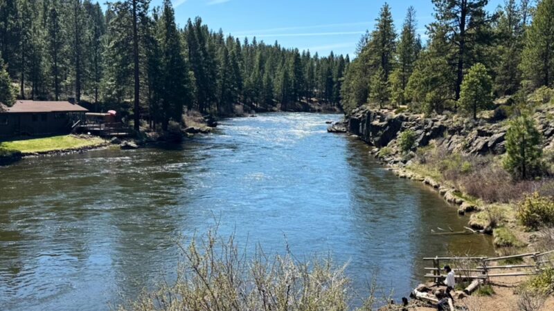 GoodDog! - Bend, OR
