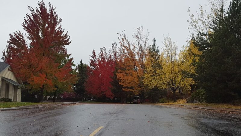 Laurel Pocket Park - Bend, OR