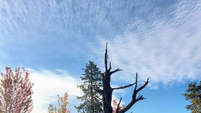 Laurel Pocket Park - Bend, OR