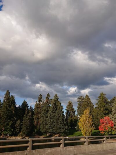 Laurel Pocket Park - Bend, OR