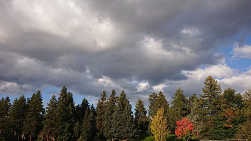 Laurel Pocket Park - Bend, OR