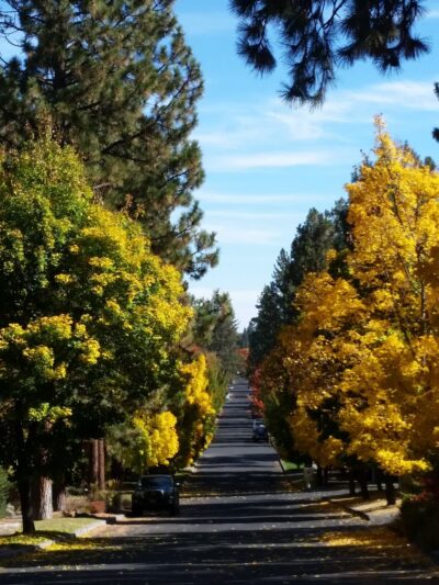 Overturf Park - Bend, OR