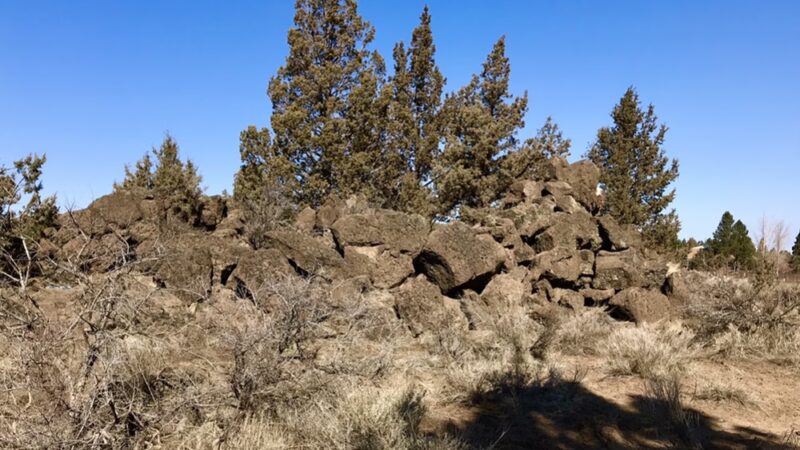 Pine Nursery Dog Park - Bend, OR