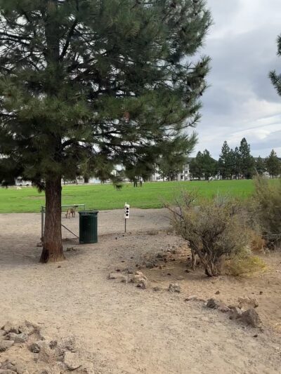 Pine Nursery Dog Park - Bend, OR