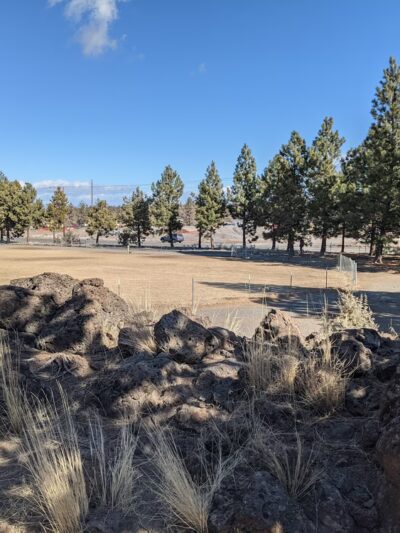 Pine Nursery Dog Park - Bend, OR