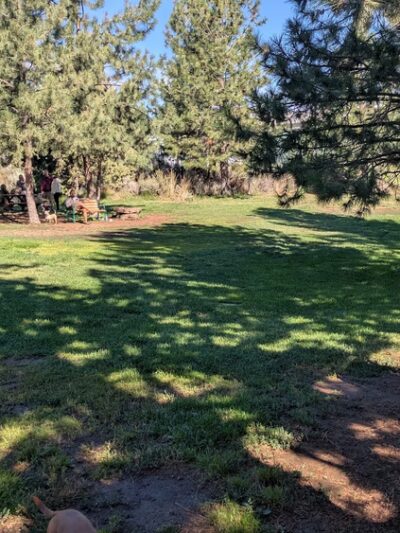 Ponderosa Park Dog Park (off leash area) - Bend, OR
