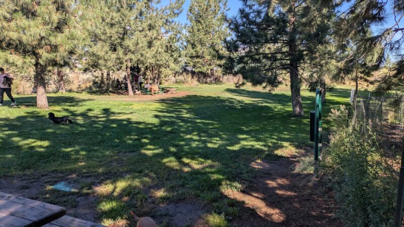Ponderosa Park Dog Park (off leash area) - Bend, OR