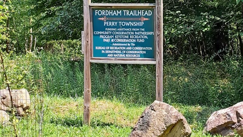 Dents Run Elk Viewing Area - Benezette, PA