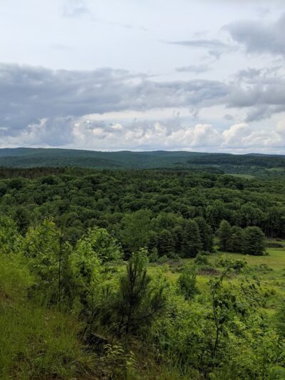 Elk View Benezette - Benezette, PA