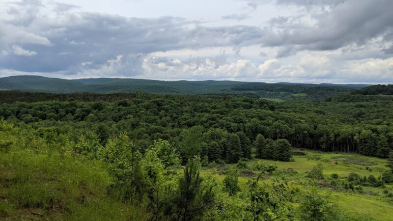 Elk View Benezette - Benezette, PA