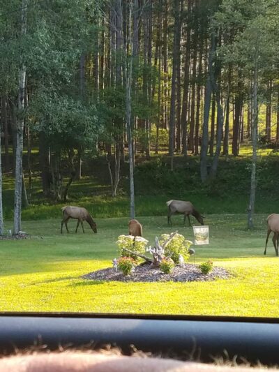Elk View Benezette - Benezette, PA