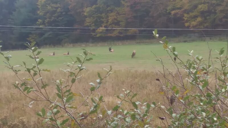 Elk View Benezette - Benezette, PA