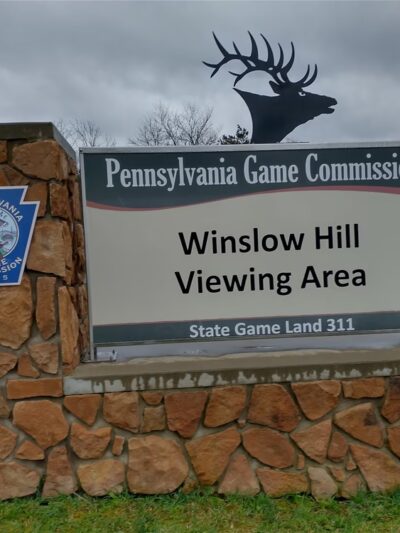 Winslow Hill Elk Viewing Area - Benezette, PA