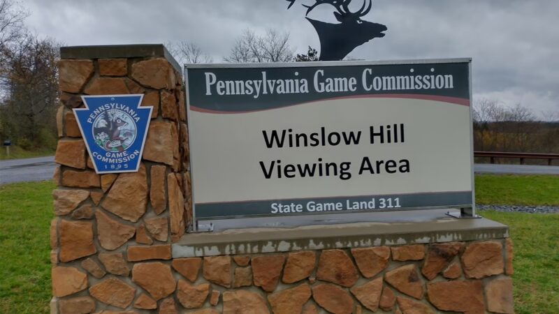 Winslow Hill Elk Viewing Area - Benezette, PA
