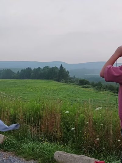 Winslow Hill Elk Viewing Area - Benezette, PA