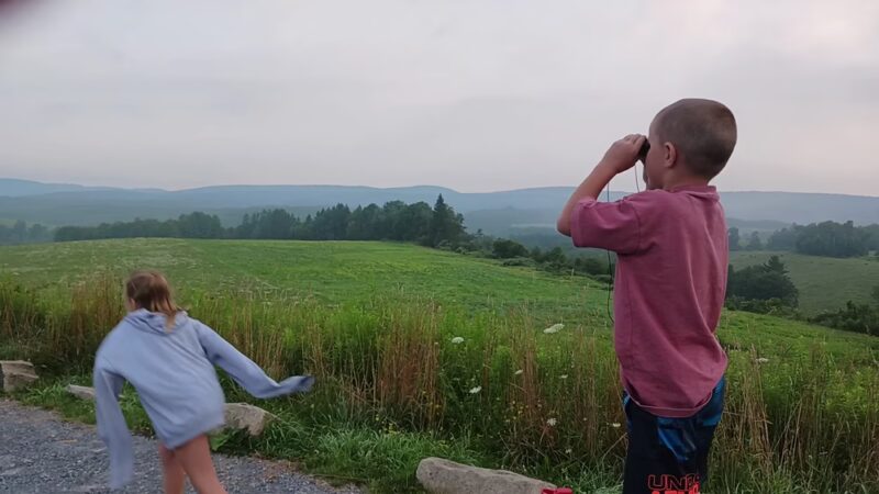 Winslow Hill Elk Viewing Area - Benezette, PA