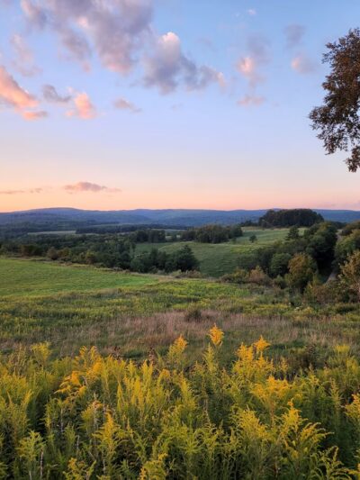 Winslow Hill Elk Viewing Area - Benezette, PA