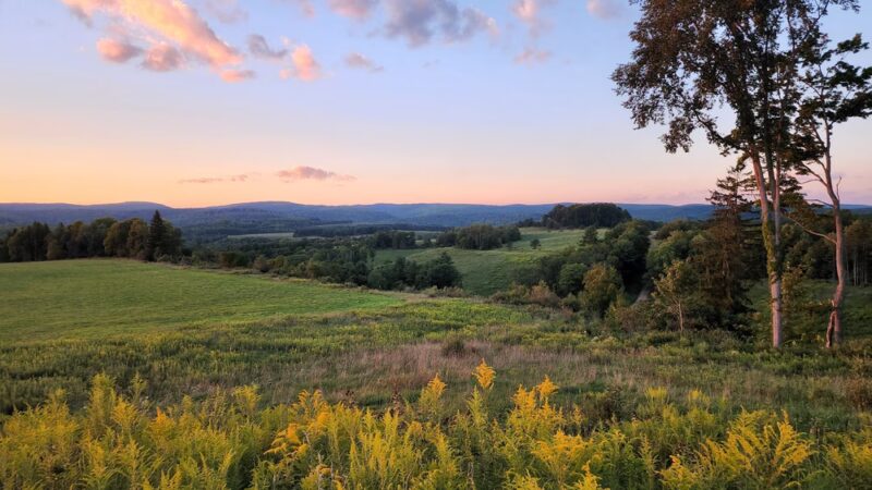 Winslow Hill Elk Viewing Area - Benezette, PA