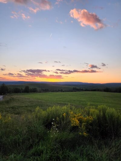 Winslow Hill Elk Viewing Area - Benezette, PA