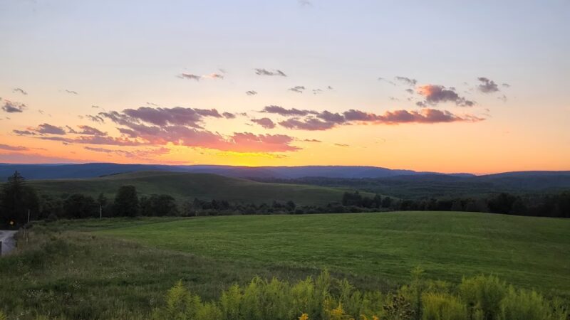 Winslow Hill Elk Viewing Area - Benezette, PA