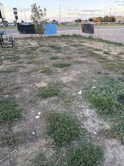 Dog Park at Love's Travel Stops - Bennett, CO